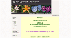 Desktop Screenshot of blackforestnursery.com
